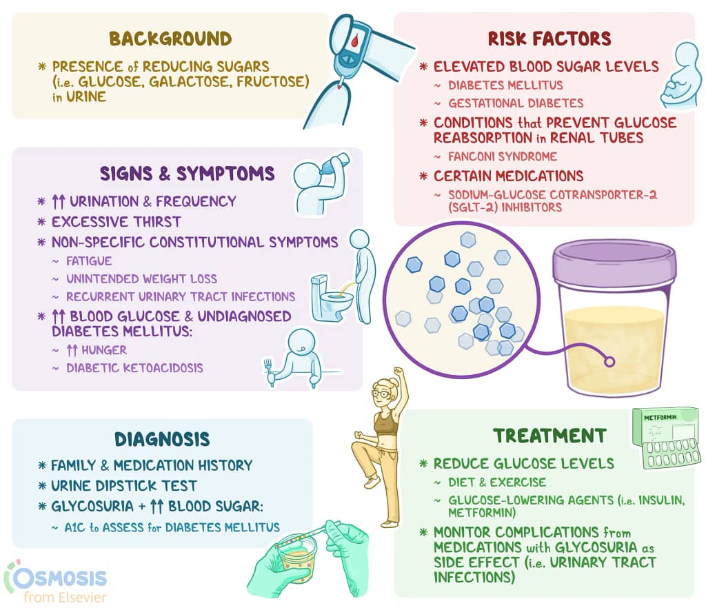 difference between renal and alimentary glycosuria