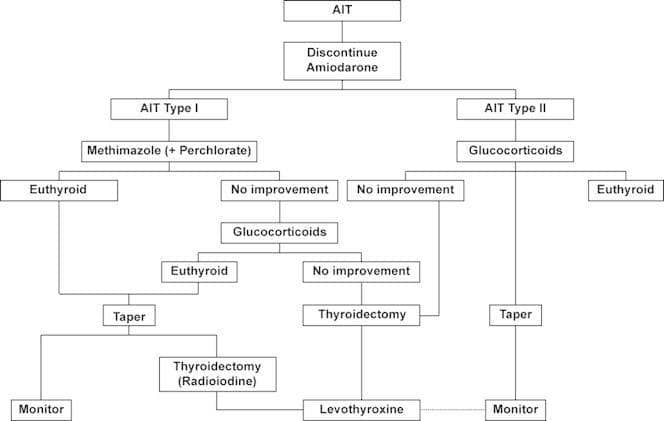 amiodarone-induced thyrotoxicosis type 1 vs type 2